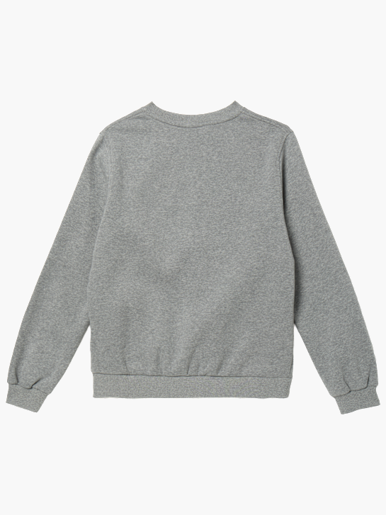 Nike Sweatshirt Grau 120502 2