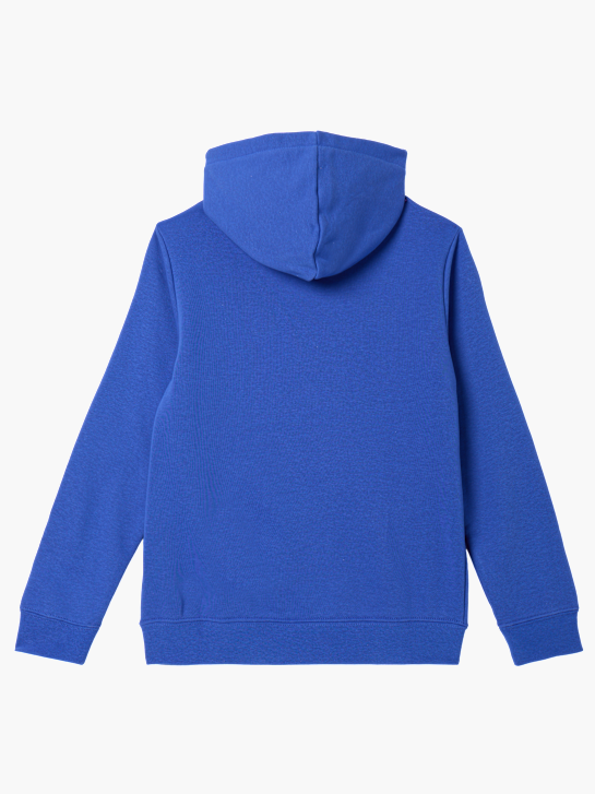PUMA Sweat à capuche Bleu 121541 2