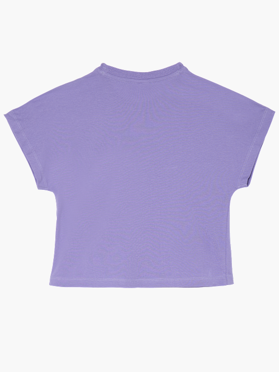 Champion Tee-shirt Violet 124574 2