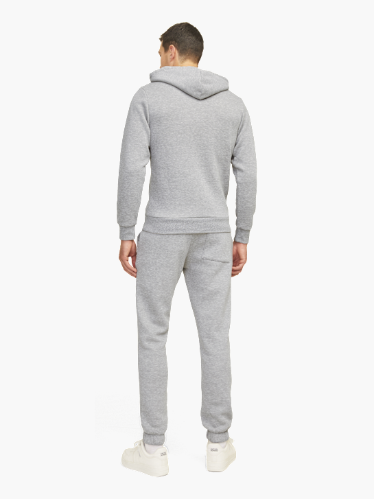 JJ Rebel Sweat à capuche Gris 123052 3