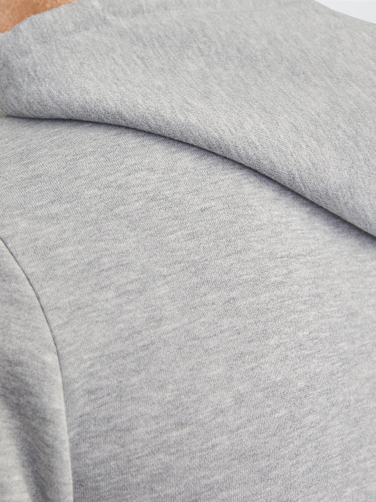 JJ Rebel Sweat à capuche Gris 123052 4