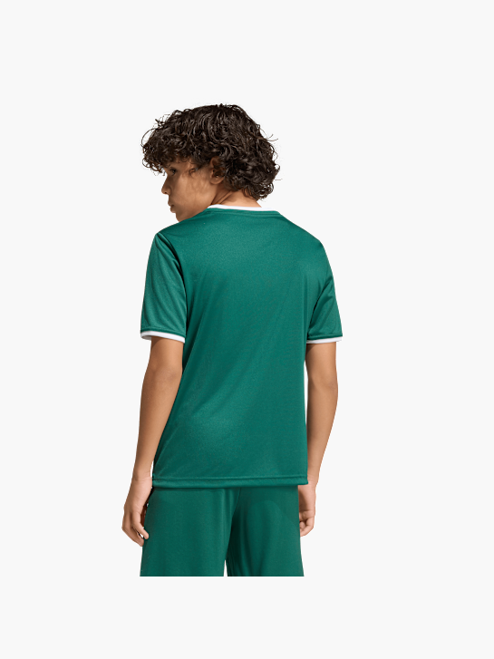 adidas T-Shirt Dunkelgrün 146019 4