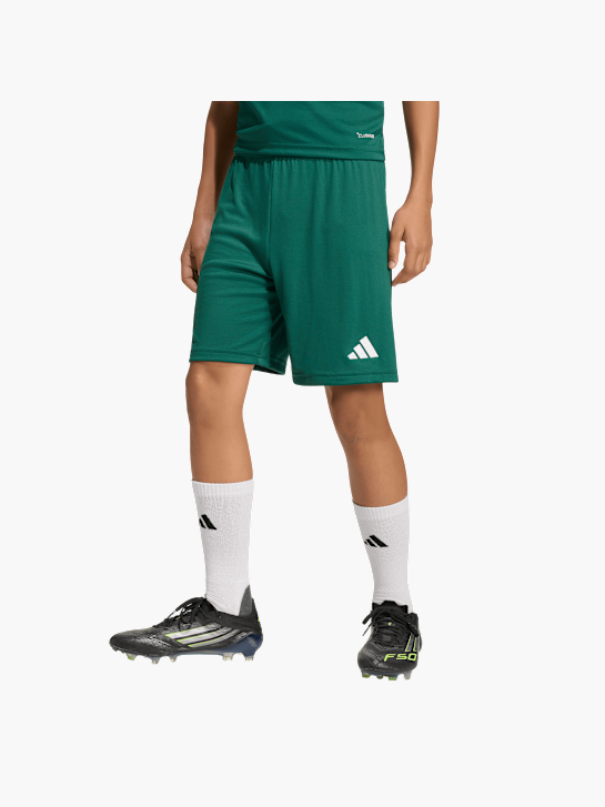 adidas Shorts Dunkelgrün 146024 2