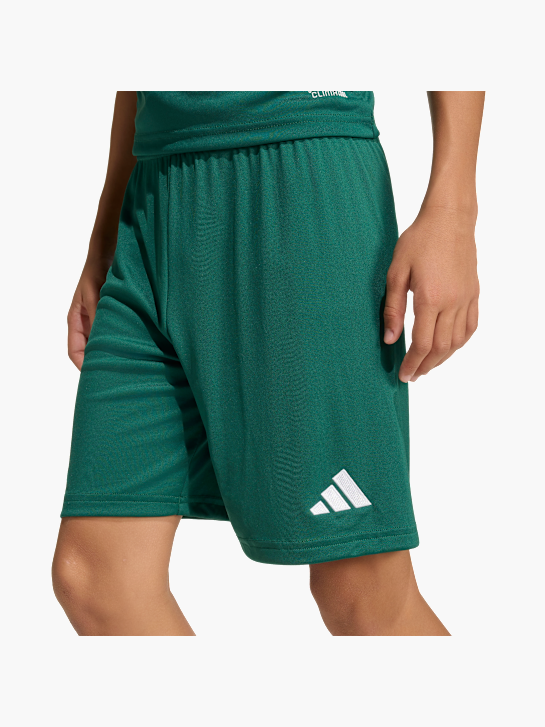 adidas Shorts Dunkelgrün 146024 5