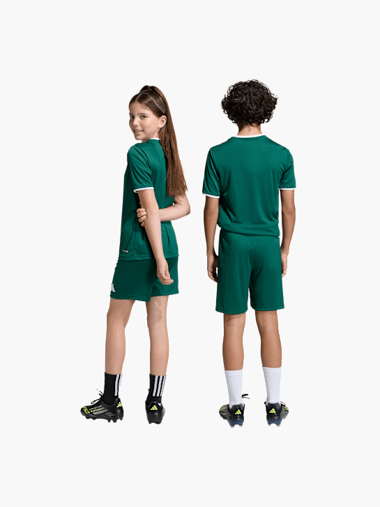 adidas Shorts Dunkelgrün 146024 6