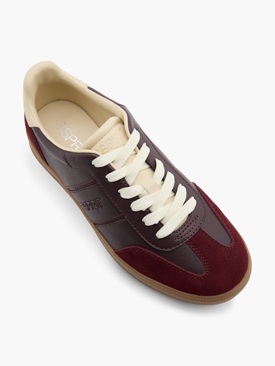 ESPRIT Sneaker Dunkelrot 145964 2