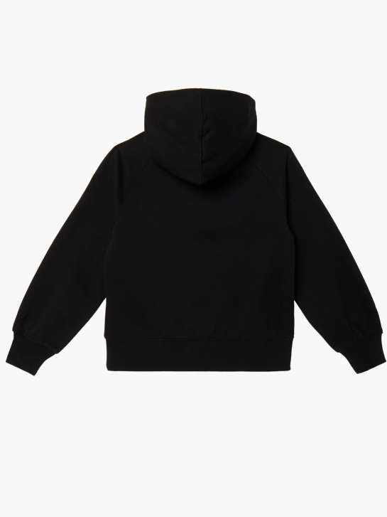 Champion Hoodie Schwarz 147234 2