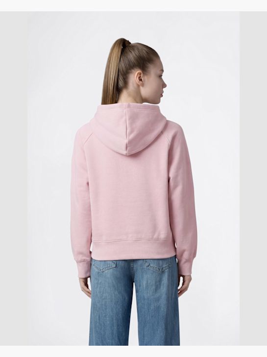 Champion Hoodie Pink 147235 3