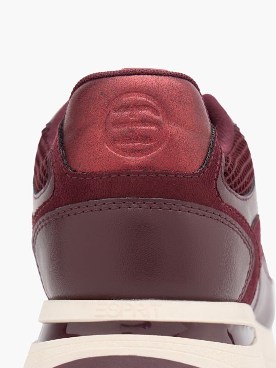 ESPRIT Sneakersy Bordowy 147955 6