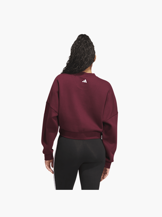 adidas Sweatshirt Burgunder 159312 3