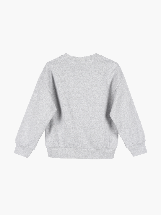 PAW Patrol Sweatshirt Grau 163567 2