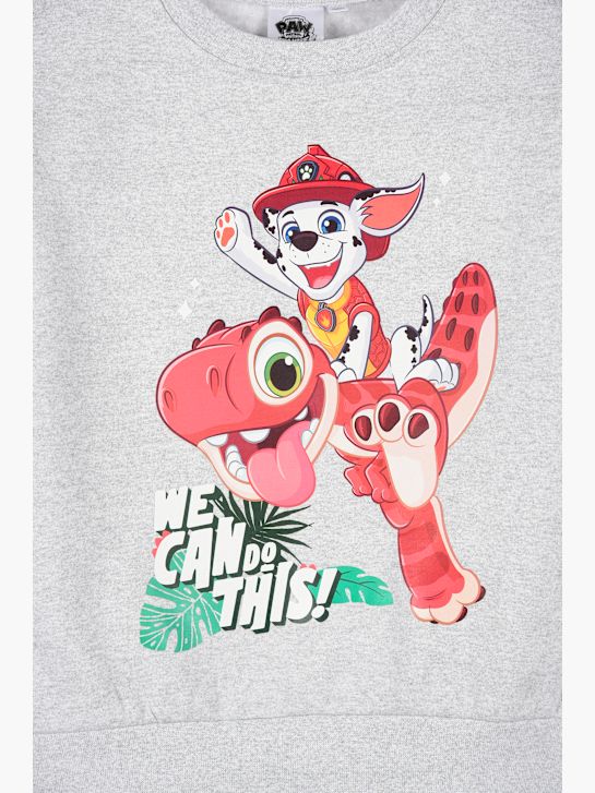 PAW Patrol Sweatshirt Grau 163567 3