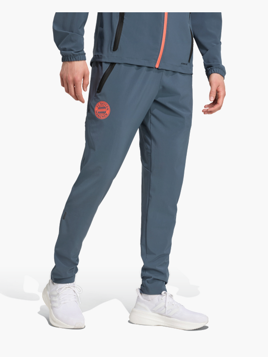 adidas FC Bayern München Tiro 25 Competition Vis Tech Travel Hose Grau 143361 2