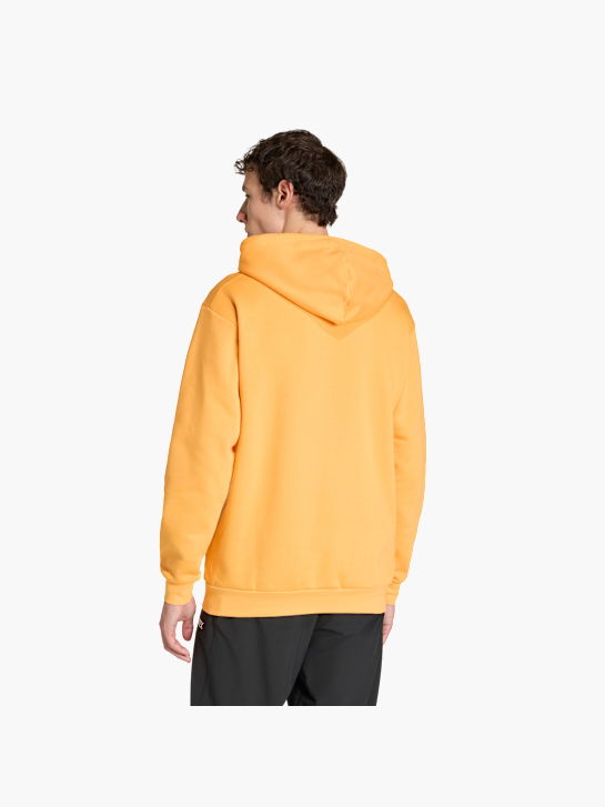 adidas Terrex Multi Large Logo Hoodie Orange 156223 3
