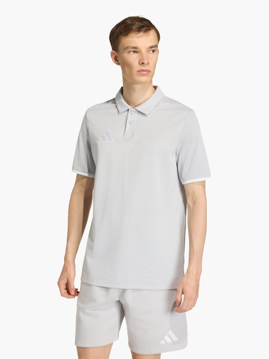 adidas Entrada26 Poloshirt Grau 168937 2