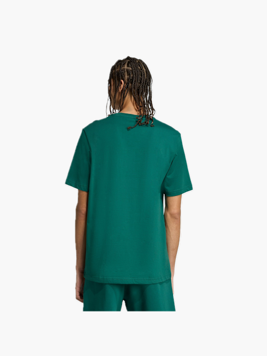 adidas Collegiate Lineage Graphic T-Shirt Grün 132039 3