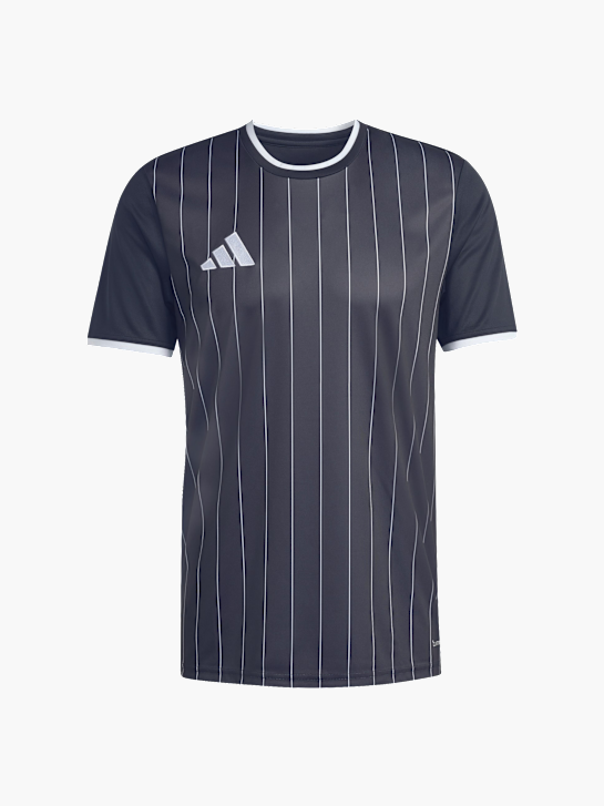 adidas Entrada26 Grafik-Trikot Schwarz 168926 1