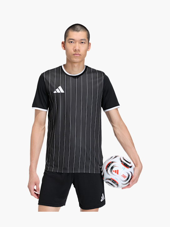 adidas Entrada26 Grafik-Trikot Schwarz 168926 3