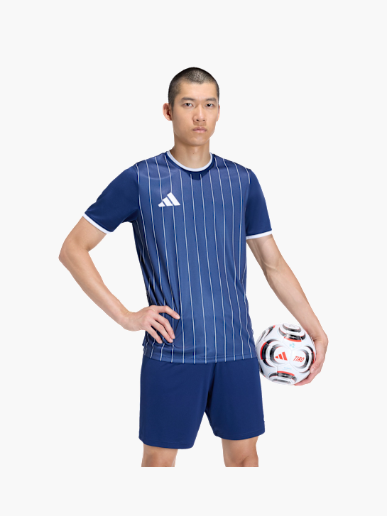 adidas Entrada26 Grafik-Trikot Blau 168927 3