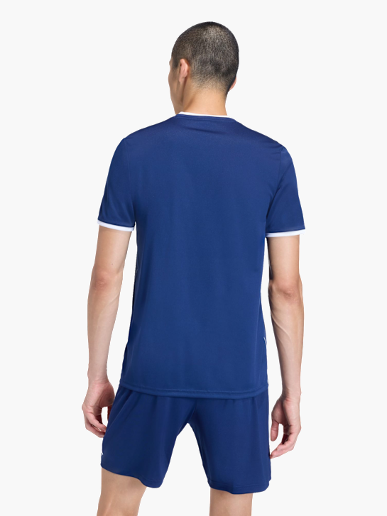 adidas Entrada26 Grafik-Trikot Blau 168927 4