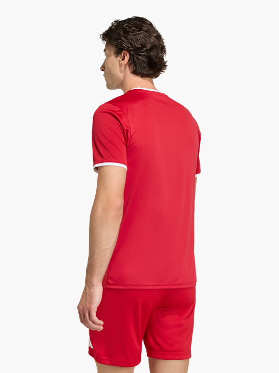 adidas Entrada26 Grafik-Trikot Rot 168928 4