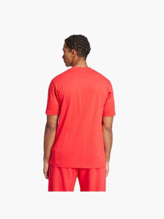 adidas Essentials Big Logo T-Shirt Rot 132283 3