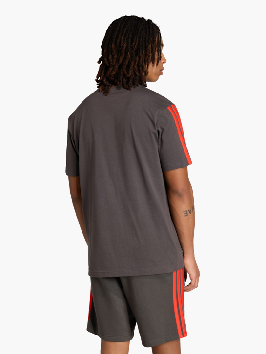 adidas AUDI REVOLUT F1 TEAM DNA T-SHIRT, KURZÄRMLIG Braun 169128 3