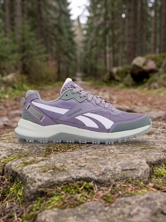 Reebok Laufschuh Grau 123341 1
