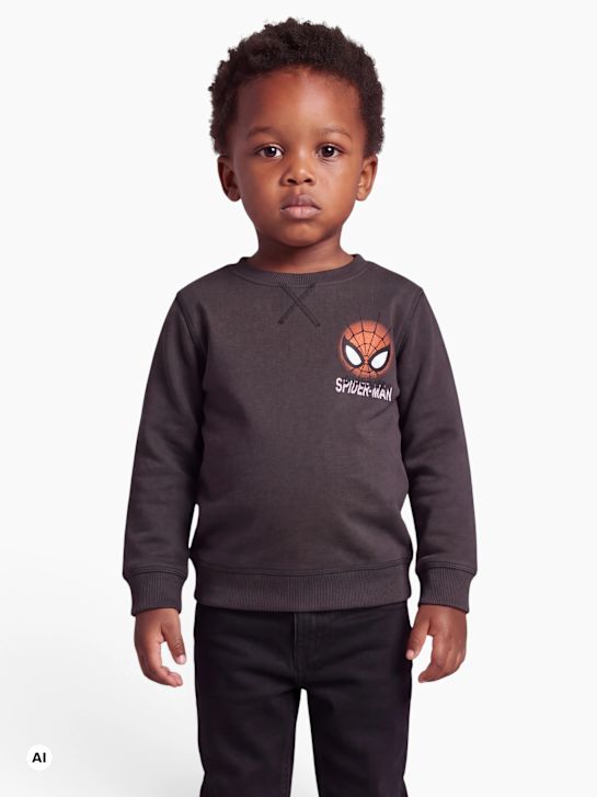 Spider-Man Sweatshirt Grau 163535 1
