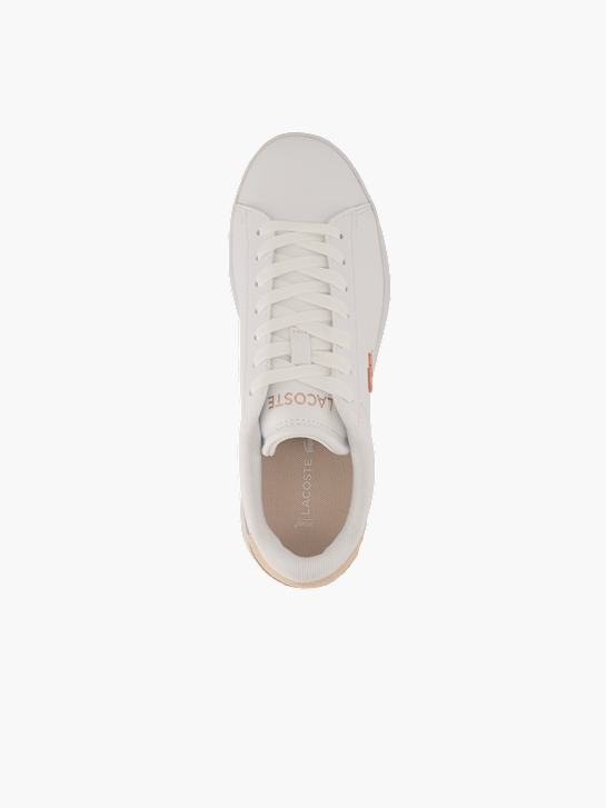 Lacoste Non definito Rosa 95430 4