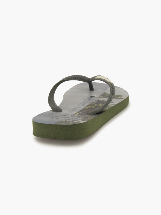 Havaianas Badeschuh & Slider Grün 96212 4