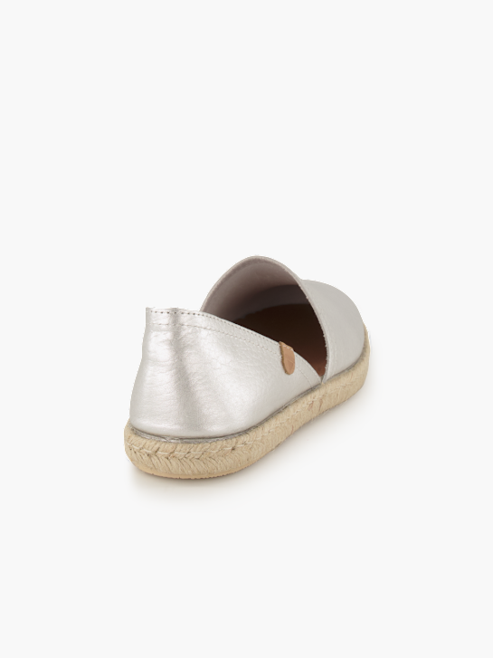 Verbenas Baskets Argent 96228 4