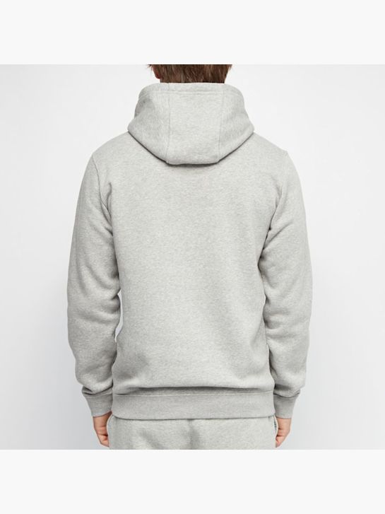 Nike Sudadera con capucha Gris 21533 1