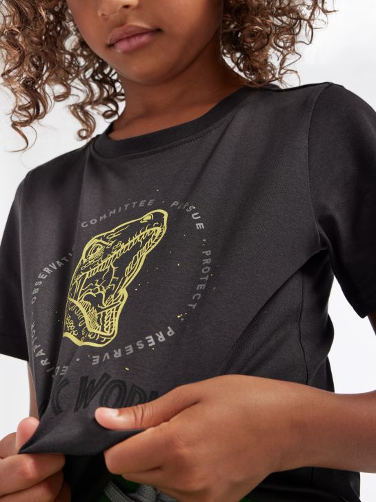 Jurassic World Camiseta Gris 847 4