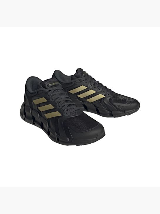 adidas Sneaker gold 22083 6