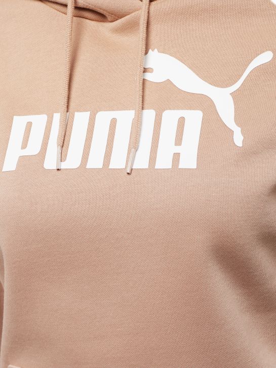 Puma Sudadera con capucha beige 1090 3