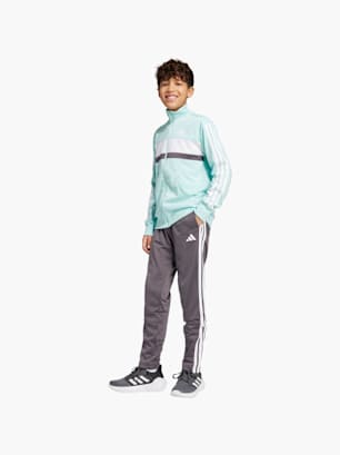 adidas Tuta Menta