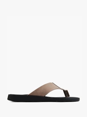 AM SHOE Chancla de dedo Gris