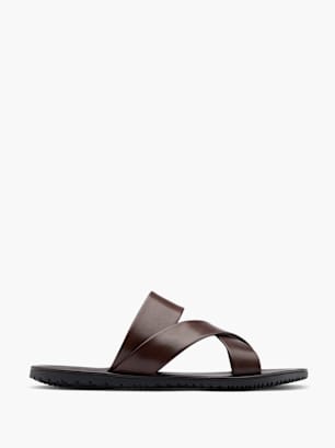 AM SHOE Zapatilla baja Marrón