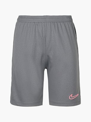 Nike Shorts Grau