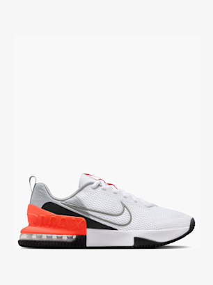 Nike Tréningová obuv Sivá