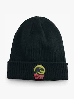 Jurassic World Strickmütze Schwarz