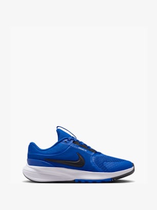 Nike Koşu Ayakkabısı Mavi