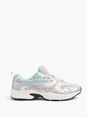 Vty Trainer Silver