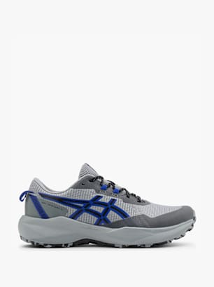 ASICS Laufschuh Grau