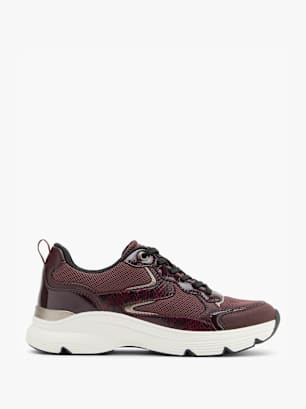 Graceland Sneaker Bordeaux