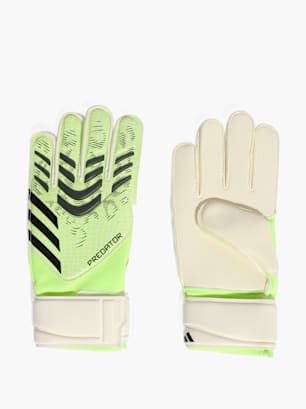 adidas Predator Match Torwarthandschuhe Grün