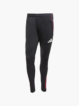 adidas Ajax Tiro 25 Competition Trainingshose Schwarz