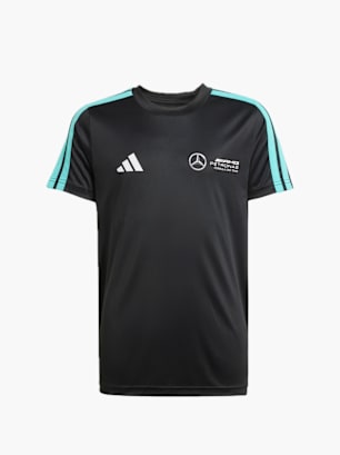 adidas MERCEDES - AMG PETRONAS FORMULA ONE TEAM DNA T-SHIRT Schwarz