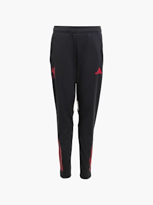 adidas FC Liverpool Tiro 25 Competition Kids Trainingshose Schwarz